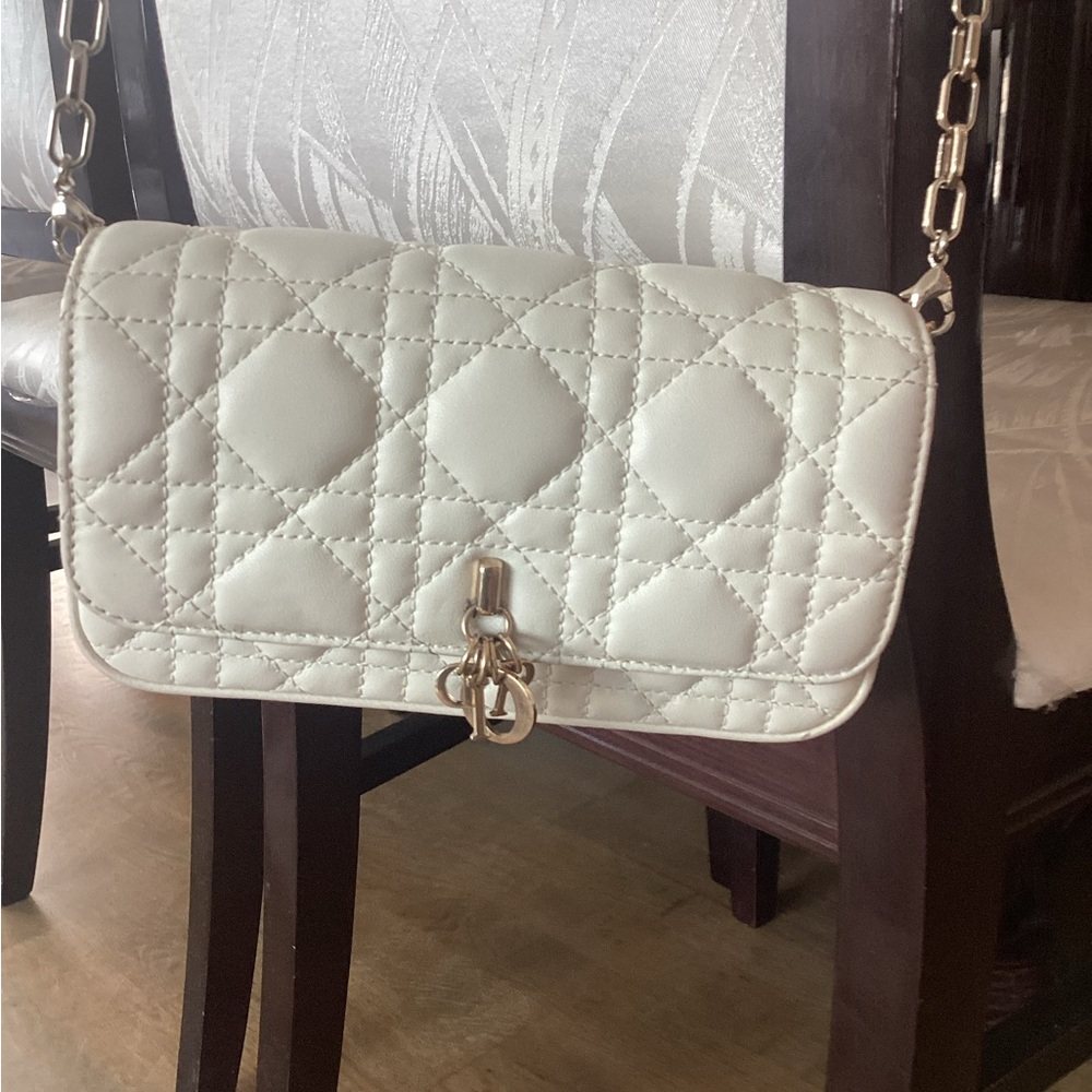 Authentc Dior Talk Phone Pouch